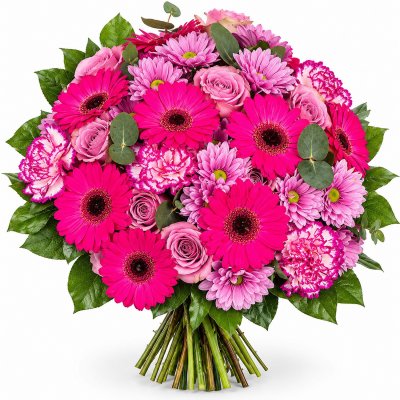 Pinke Mischung