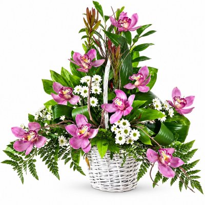Kôš orchideí a chryzantém